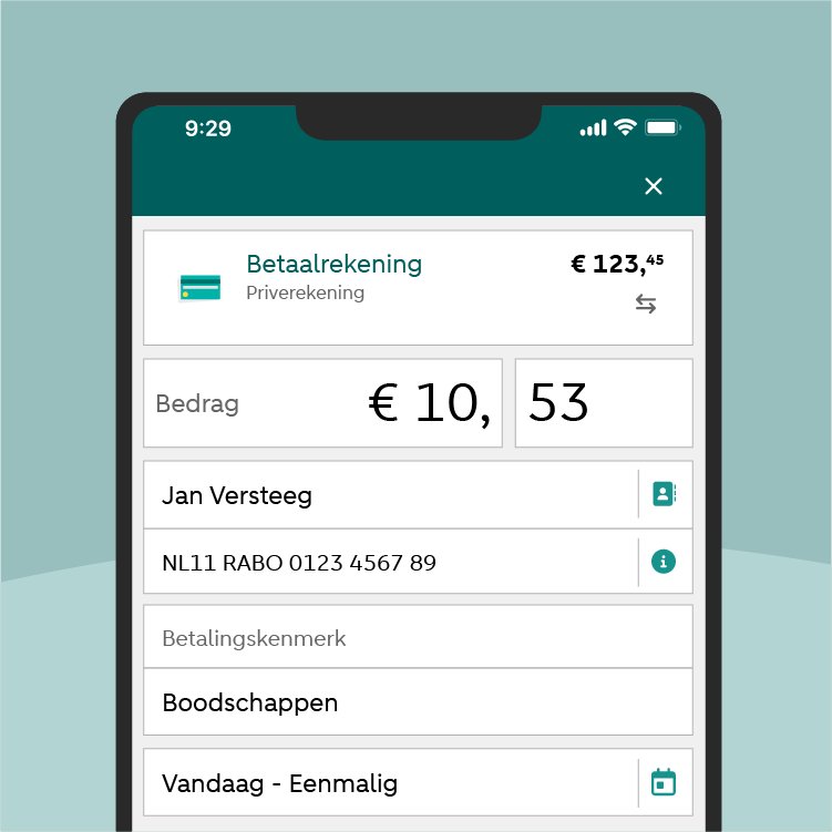 INTERNET BANKIEREN ABN AMRO intelligence overview